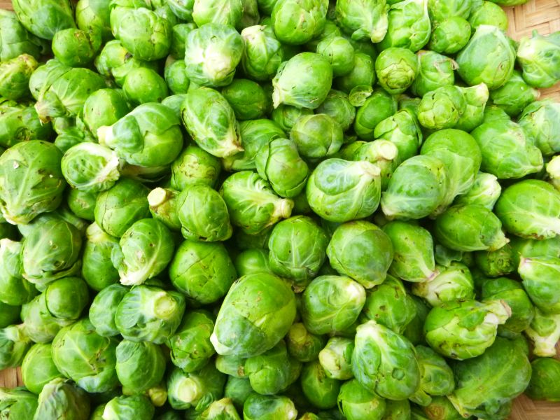 Brussels Sprouts