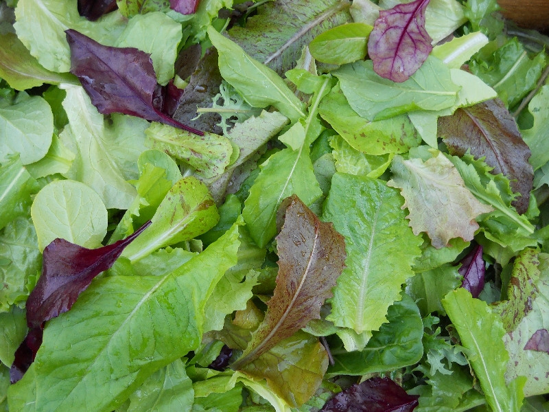Mesclun
