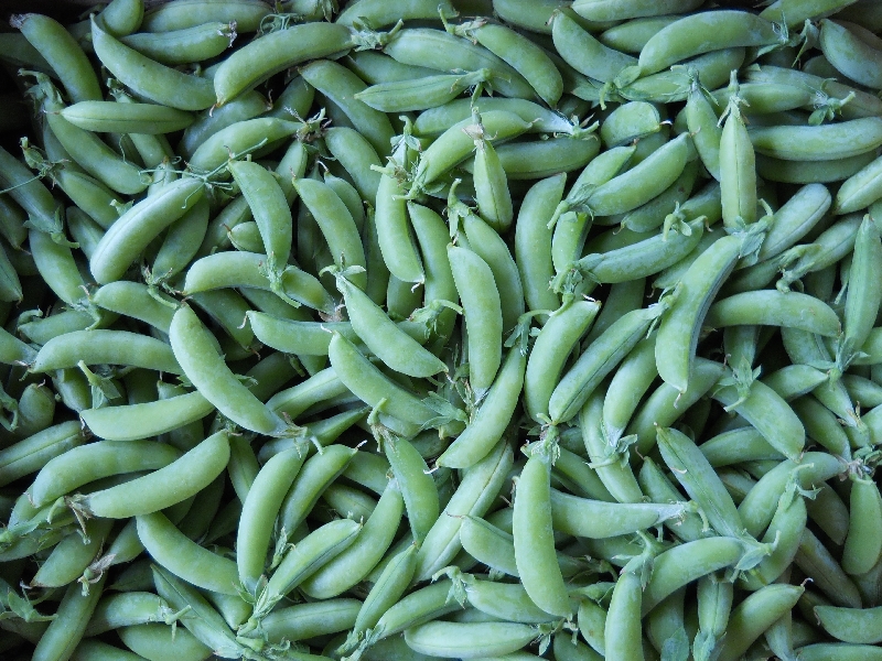 Peas snap