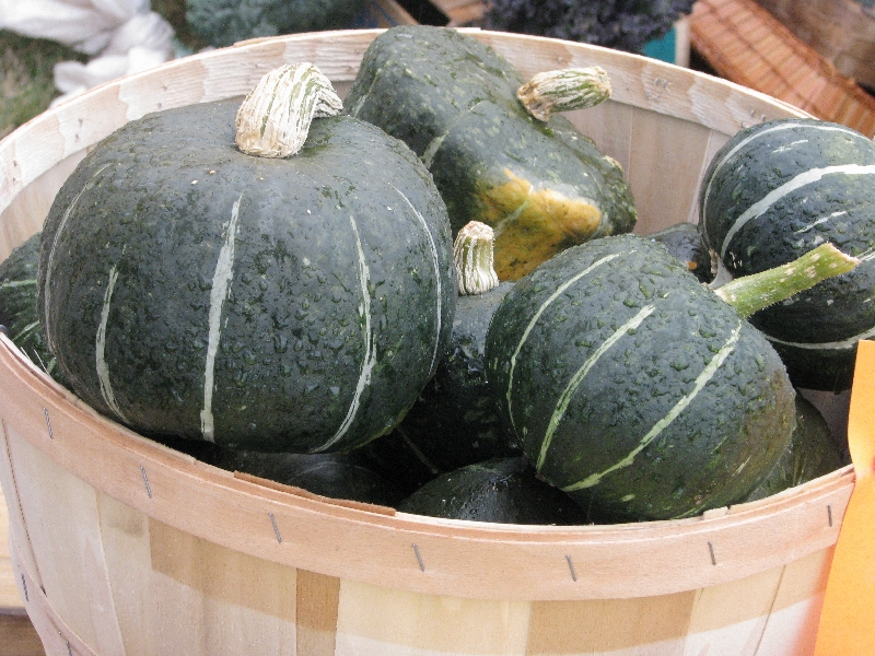 Buttercup Squash